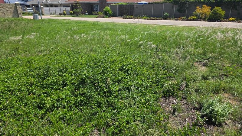 0 Bedroom Property for Sale in Reebok Western Cape